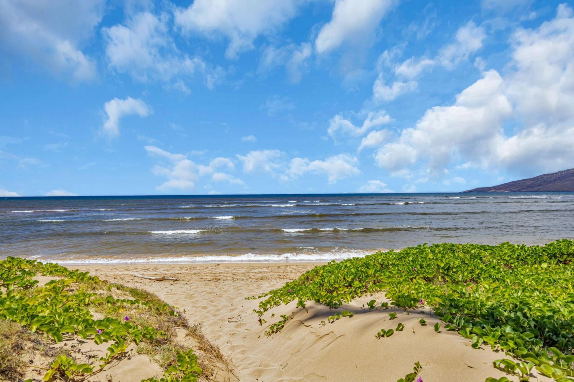 Hale Kai O'Kihei 118 Villa Bagian luar foto
